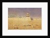 Ruins in Chuguchak, Xinjiang, 1869 by Vasili Vasilyevich Vereshchagin