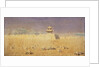 Ruins in Chuguchak, Xinjiang, 1869 by Vasili Vasilyevich Vereshchagin