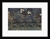 Water Lilies by Mikhail Alexandrovich Vrubel