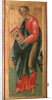 The Saint Apostle Andrew, 1645 by Terenty Fomin