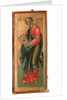 The Saint Apostle Andrew, 1645 by Terenty Fomin