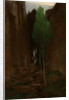 Spring in a Narrow Gorge, 1881 by Arnold Böcklin