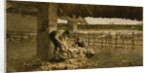 The Sheepshearing, 1883-1884 by Giovanni Segantini