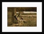 The Sheepshearing, 1883-1884 by Giovanni Segantini