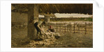 The Sheepshearing, 1883-1884 by Giovanni Segantini