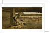 The Sheepshearing, 1883-1884 by Giovanni Segantini