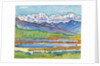 Etang long Crans-Montana by Ferdinand Hodler