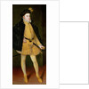 Don Carlos, Prince of Asturias, 1564 by Alonso Sánchez Coello