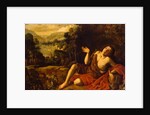 Saint John the Baptist in the Desert, 1630 by Francisco Collantes