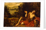Saint John the Baptist in the Desert, 1630 by Francisco Collantes