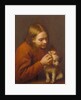 Boy Looking for Fleas on a Dog, 1650 by Pedro Nuñez de Villavicencio