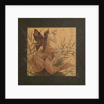 Composition with winged nymph among the reeds, 1887 by Alejandro de Riquer Inglada
