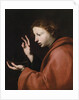 Saint John the Evangelist by José de Ribera
