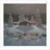 Winter Night by Bror Lindh