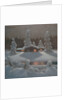 Winter Night by Bror Lindh
