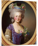 Portrait of Countess de Bavière-Grosberg by Alexander Roslin