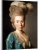 Portrait of Princess Natalya Petrovna Galitzine, 1777 by Alexander Roslin