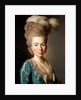 Portrait of Princess Natalya Petrovna Galitzine, 1777 by Alexander Roslin