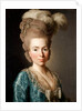Portrait of Princess Natalya Petrovna Galitzine, 1777 by Alexander Roslin