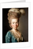 Portrait of Princess Natalya Petrovna Galitzine, 1777 by Alexander Roslin