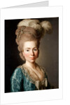 Portrait of Princess Natalya Petrovna Galitzine, 1777 by Alexander Roslin