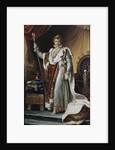 Portrait of Emperor Napoléon I Bonaparte in his Coronation Robes, ca 1804 by François Pascal Simon Gérard