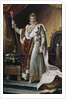 Portrait of Emperor Napoléon I Bonaparte in his Coronation Robes, ca 1804 by François Pascal Simon Gérard