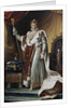Portrait of Emperor Napoléon I Bonaparte in his Coronation Robes, ca 1804 by François Pascal Simon Gérard