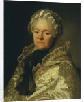 Portrait of Countess Ekaterina Andreyevna Chernysheva, née Ushakova, 1776 by Alexander Roslin