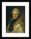Portrait of Countess Ekaterina Andreyevna Chernysheva, née Ushakova, 1776 by Alexander Roslin