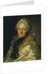 Portrait of Countess Ekaterina Andreyevna Chernysheva, née Ushakova, 1776 by Alexander Roslin