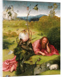 Saint John the Baptist in the Desert by Hieronymus Bosch