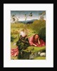 Saint John the Baptist in the Desert by Hieronymus Bosch