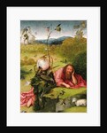 Saint John the Baptist in the Desert by Hieronymus Bosch