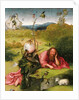 Saint John the Baptist in the Desert by Hieronymus Bosch