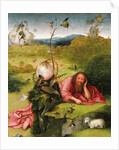 Saint John the Baptist in the Desert by Hieronymus Bosch