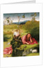 Saint John the Baptist in the Desert by Hieronymus Bosch