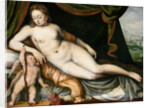 Venus and Cupid by Frans Floris the Elder
