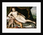 Venus and Cupid by Frans Floris the Elder