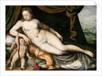 Venus and Cupid by Frans Floris the Elder