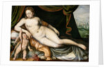 Venus and Cupid by Frans Floris the Elder