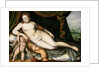 Venus and Cupid by Frans Floris the Elder