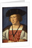 Floris van Egmond, count of Buren, 1536 by Jan Gossaert