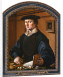 Portrait of a man, 1529 by Maarten Jacobsz van Heemskerck