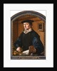Portrait of a man, 1529 by Maarten Jacobsz van Heemskerck