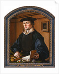 Portrait of a man, 1529 by Maarten Jacobsz van Heemskerck