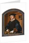 Portrait of a man, 1529 by Maarten Jacobsz van Heemskerck