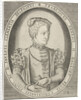 Portrait of Francis II of France by Pieter Heyden van der