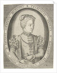 Portrait of Francis II of France by Pieter Heyden van der
