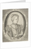 Portrait of Francis II of France by Pieter Heyden van der